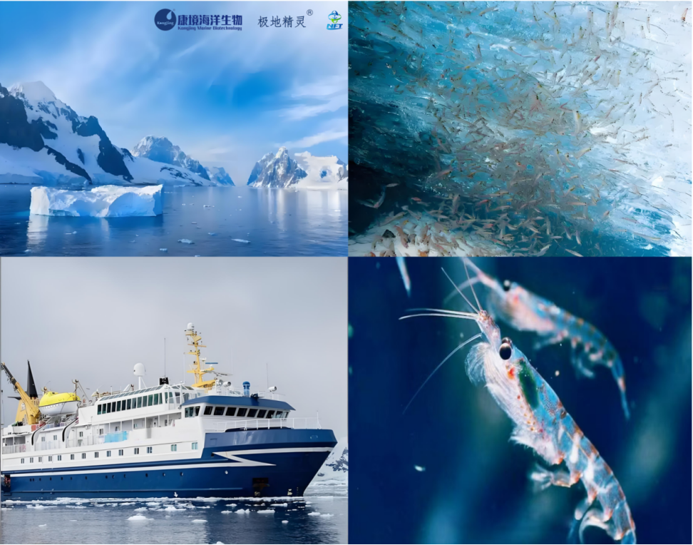 1758294357166112.png image.png