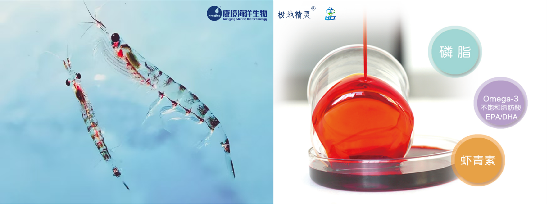 1762161108168649.png image.png