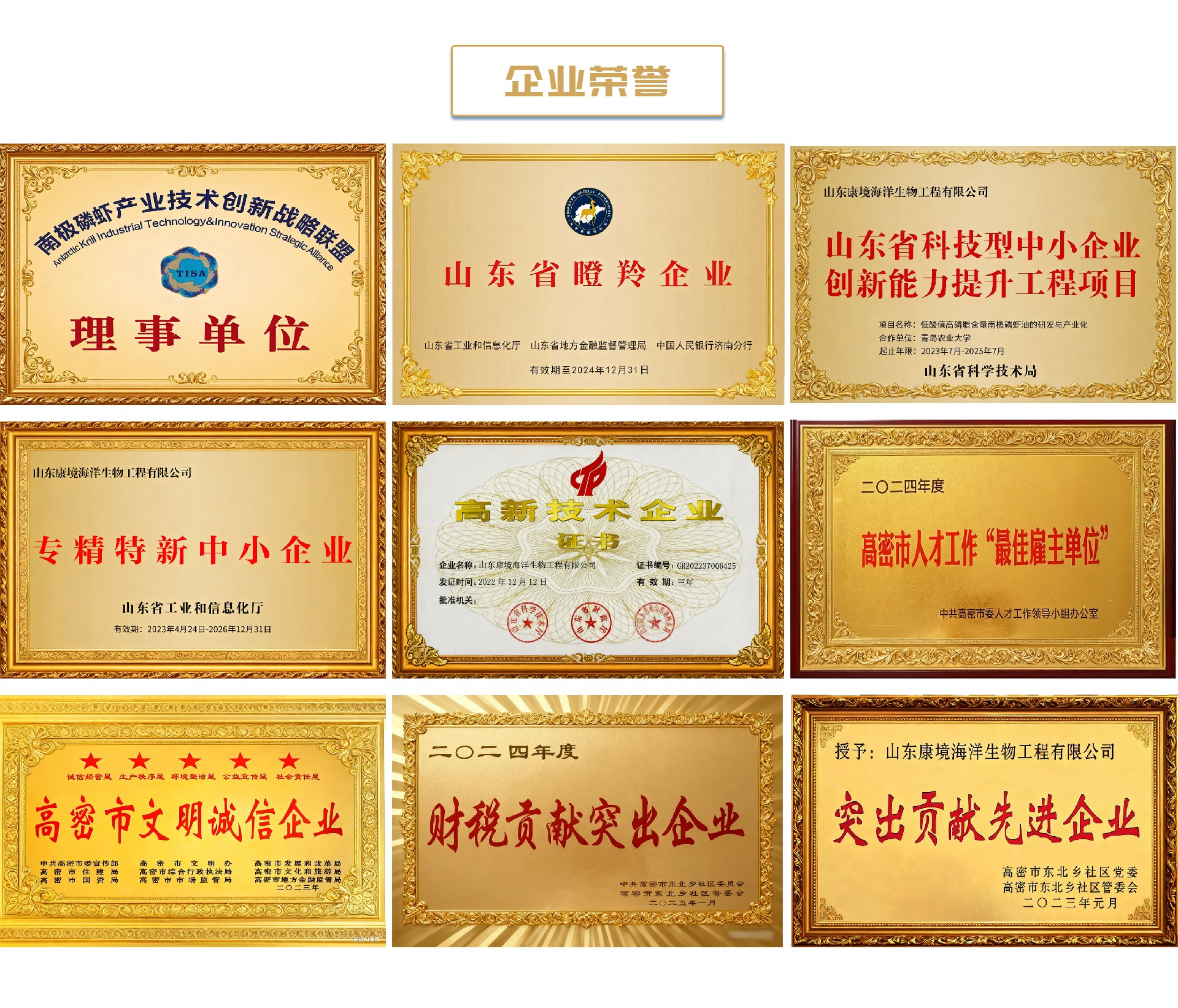 企业荣誉